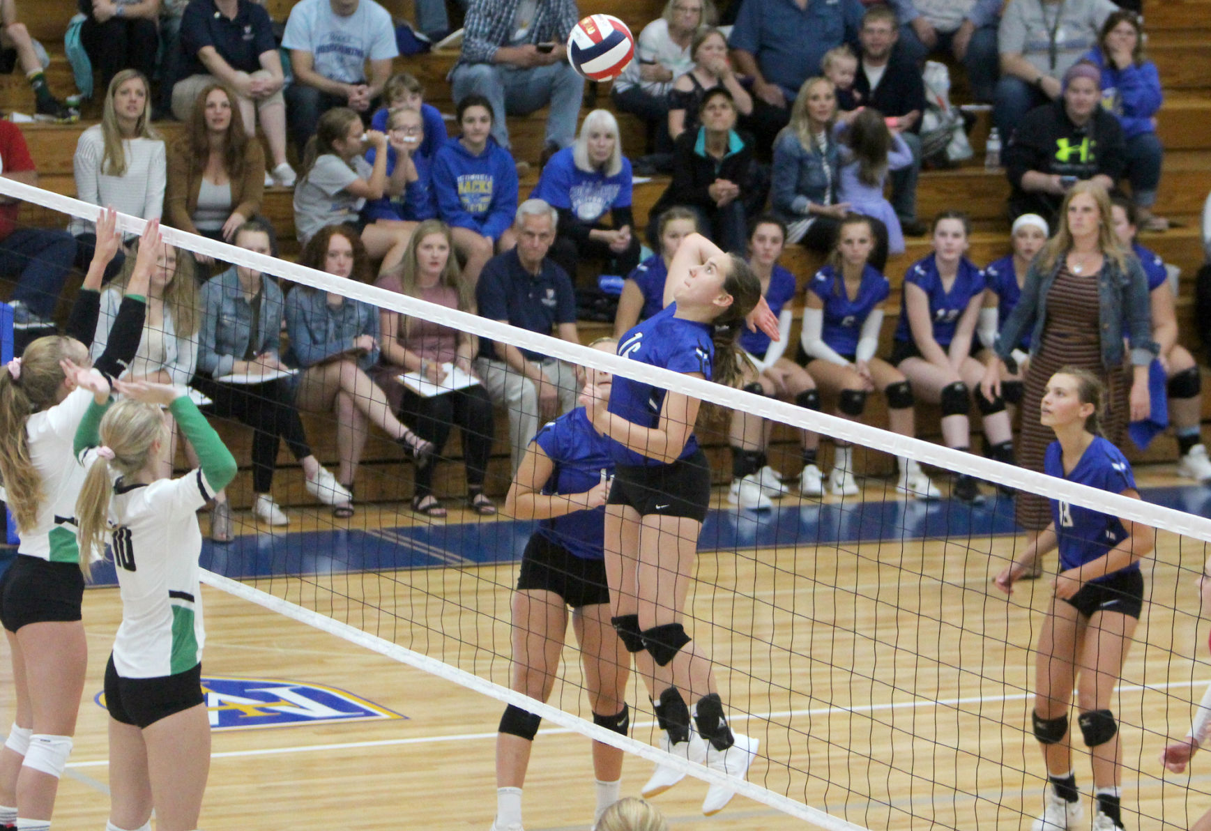 Eau Claire Regis at McDonell volleyball 9-12-19